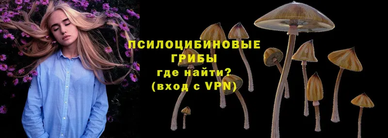 даркнет сайт  Колпашево  Галлюциногенные грибы Cubensis 